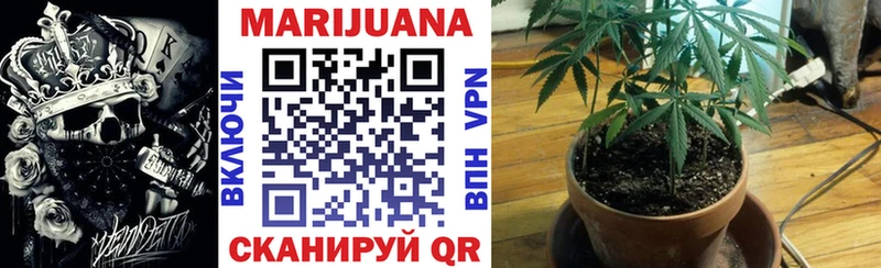 Канабис OG Kush Великий Новгород
